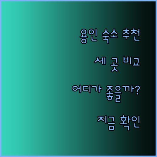 용인 숙소 추천 세 곳 비교분석 어디가 좋을까?