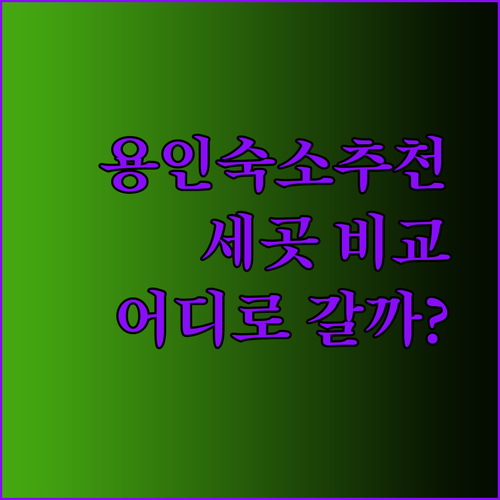 용인 여행 숙박 추천 세 곳.. 어디가 좋을까? 신갈 스카이 vs 더트리니 어반스위트 vs 몬터레이17 호텔