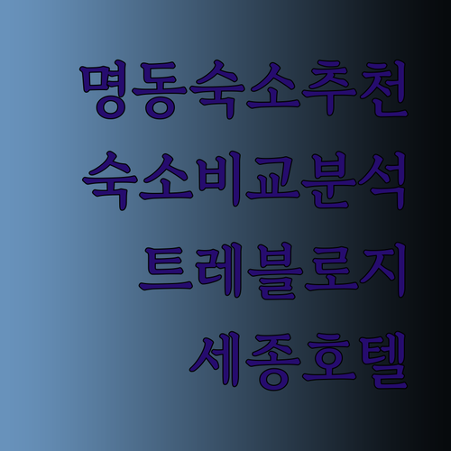 명동 숙소 고민? 트레블로지 명동 남산, 홈즈스테이 명동, 세종호텔 비교분석!