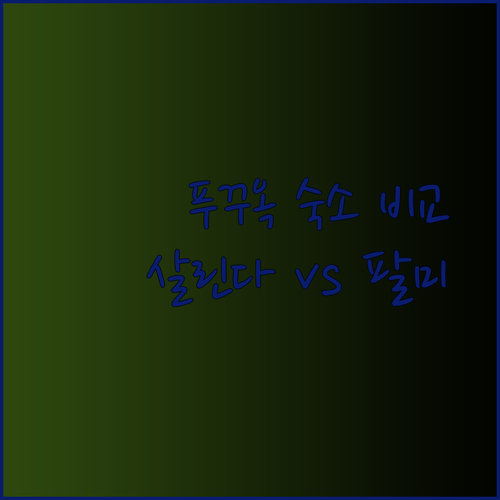 푸꾸옥 여행 숙소 고민? 살린다 리조트 M빌리지 더 팔미 리조트 비교분석!