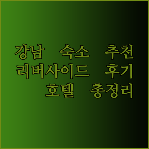 강남에서 숙박 고민 서울 리버사이드호텔 티롤관광호텔 토요코인 강남 후기 총정리