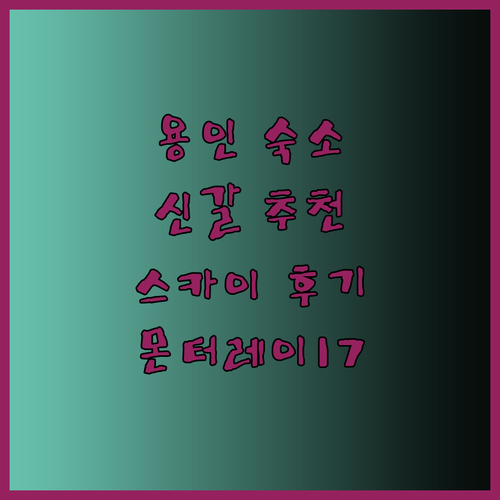용인 여행 숙소는 어디? 신갈 스카이 더트리니 몬터레이17 후기와 함께 알아보자..