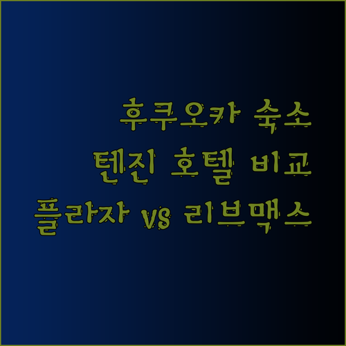 후쿠오카 텐진 숙소 고민? 플라자 호텔과 리브맥스 호텔 비교 분석!