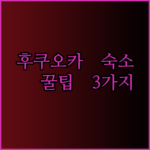 후쿠오카 여행 숙소 예약 전 필독! 저렴하고 편리한 3가지 선택지