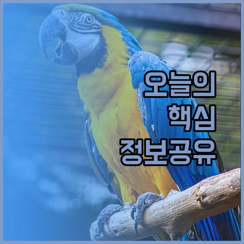 아타미 호텔 선택 가이드 프린스 스마트 인 호텔 리조피아 E 조이 인 장단점 비교 분석..