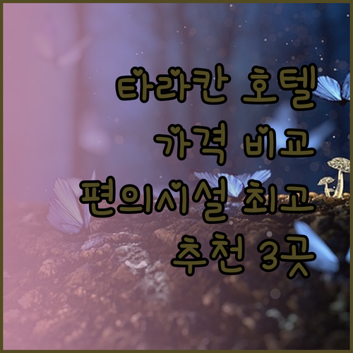 타라칸 여행 호텔 추천 세 곳 비교분석 놀라운 가격과 편의시설!