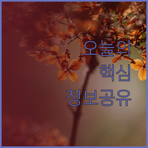코타키나발루 숙소 고민? 마르고 호텔 KK, 밍 그리니지 스위트, 데코 홈 비교분석!