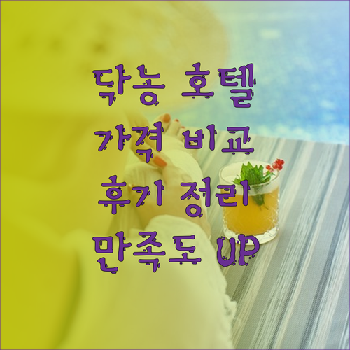 베트남 닥농 호텔 3곳 가격 대비 만족도는 어떨까? 후기와 함께 살펴보자