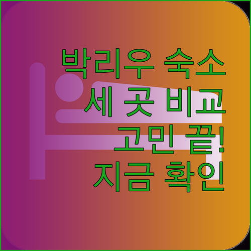 박리우 숙소 고민은 이제 그만 세 곳의 매력 비교해보세요