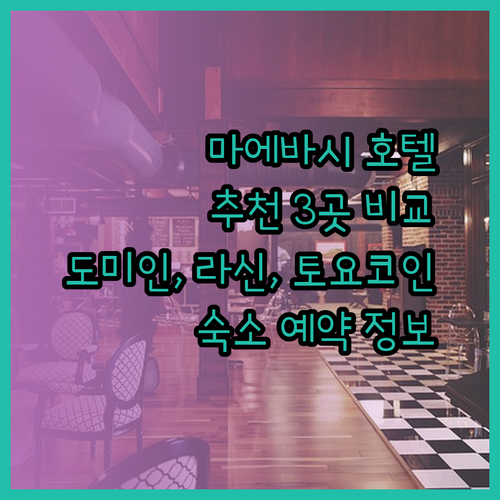 마에바시 여행 호텔 추천 3곳 도미인 호텔 라신 호텔 토요코인 비교분석