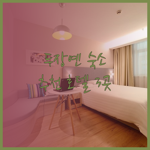 두장옌 여행의 완벽한 숙소는 어디일까? 추천 호텔 3곳 비교 분석