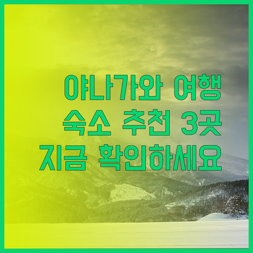 야나가와 여행 숙소 어디로 할까요? 3곳의 매력을 자세히 알려드릴게요