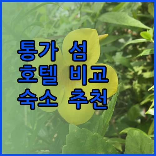 통가 섬 여행의 완벽한 숙소는? 스카이, 토아파, 타노아 호텔 상세 정보 비교