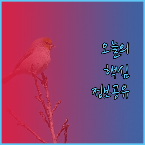 카가얀 데 오로 호텔 예약 고민이라면? Red Planet Hotel Sogo New Dawn Pensionne House 장단점 비교 분석