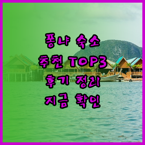 퐁냐 국립공원 근처 숙소 고민? 퐁냐 러브 홈스테이 자스민 호스텔 그리고 파라다이스 호텔 후기 총정리..