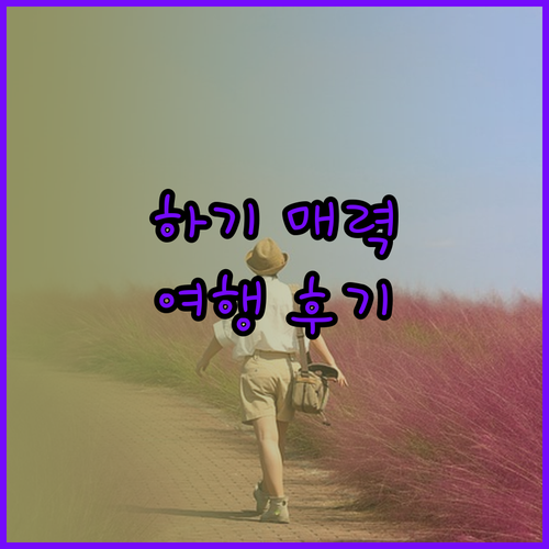 하기의 매력에 빠지다! 하기노 야도 도모에, 리조트 호텔 미하기, 호텔 하기 트래블 인 후기와 함께 떠나는 여정..
