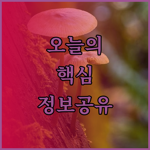 베트남 닌투언 아마노이와 파로베 팜스테이 숙박 후기 비교분석