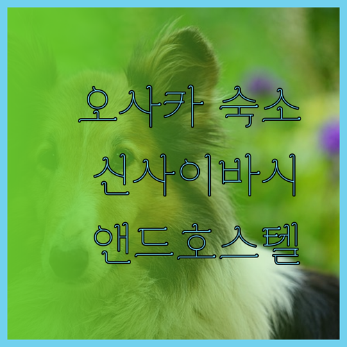 오사카 여행 숙소 추천 앤드 호스텔 신사이바시 이스트 후기와 함께