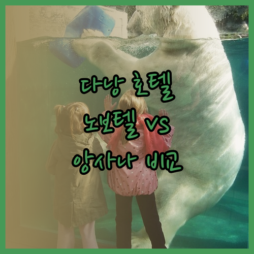다낭 여행 호텔 고민? 노보텔 앙사나 사티야 비교분석