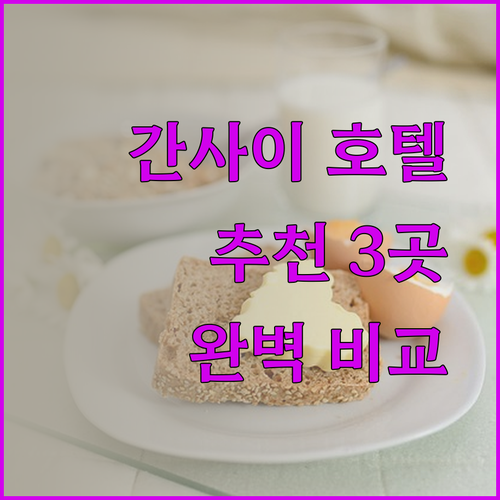 간사이 공항 근처 호텔 추천 3곳 완벽 비교 분석