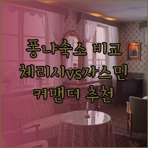 퐁냐 여행 숙소 고민? 체리시 하우스, 자스민 호스텔, 커맨더 로지 비교분석!