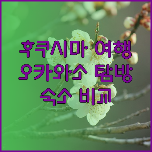 후쿠시마 여행 필수 코스! 오카와소, 마루미네 칸코 호텔, 하라타키 온천 료칸 비교 분석