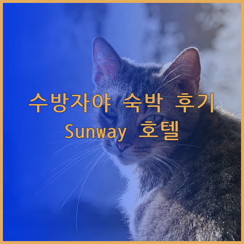 말레이시아 수방자야 호텔 숙박 후기 Sunway 호텔은 어떨까?