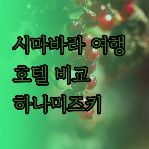 시마바라 여행 필수 정보 시마바라 스테이션 호텔 하나미즈키 Chidori 비교 분석