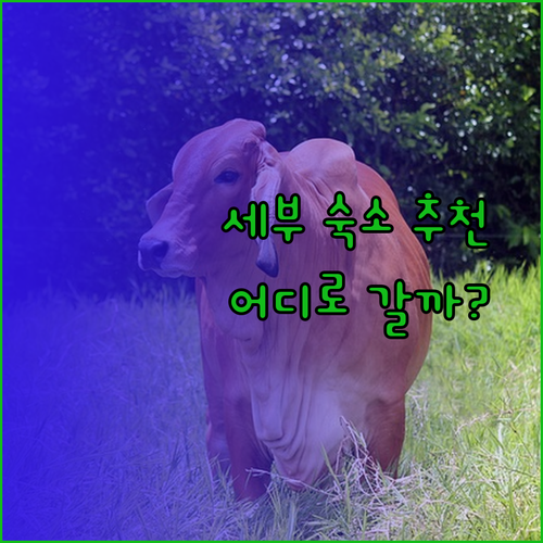 세부 탈리사이 지역 호텔 추천 세 곳! 어디가 좋을까?