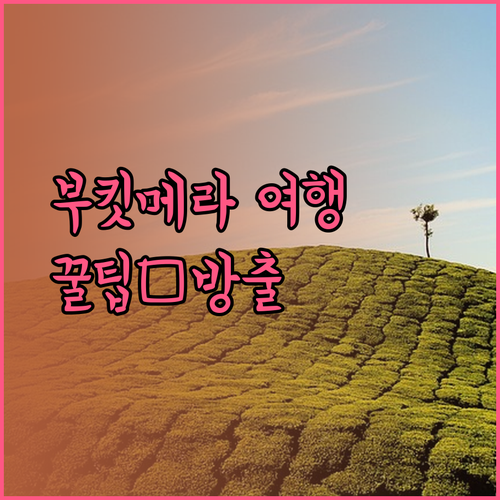 말레이시아 부킷 메라 여행 최고의 선택? 리조트 추천과 꿀팁