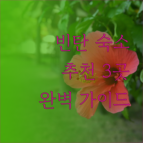 빈탄 탄중피낭 호텔 추천 3곳 완벽 가이드