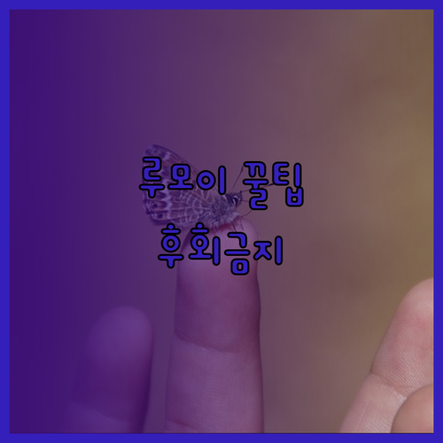 일본 홋카이도 루모이 호텔 뉴 화이트 하우스 후기! 놓치면 후회할 꿀팁 공개!