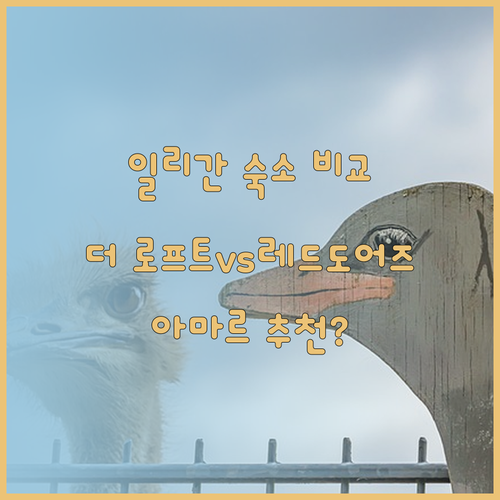 일리간 숙박 고민 끝! 더 로프트, 레드도어즈, 아마르 레지던스 장단점 비교 분석..