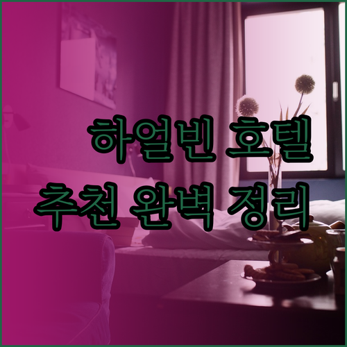 하얼빈 타이핑 국제공항 편리한 호텔 완벽 정리.. 어디가 좋을까?