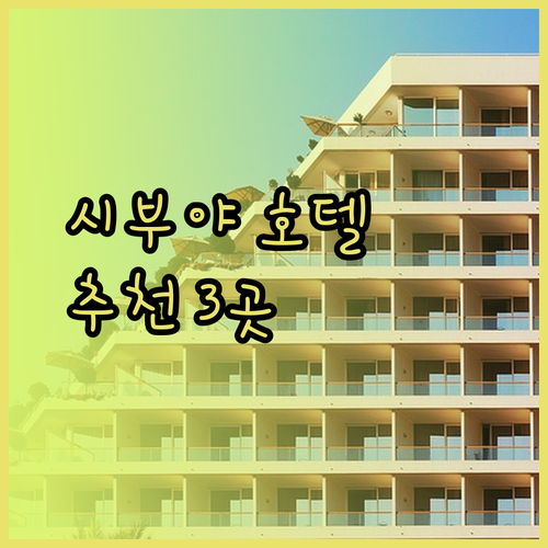시부야 호텔 3곳 비교분석 완벽 가이드 도쿄 여행 계획은 이제부터..?