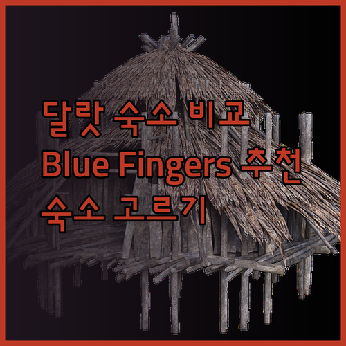 베트남 달랏 숙소 선택 가이드 Blue Fingers Kroom An Phu House D Home 장단점 비교