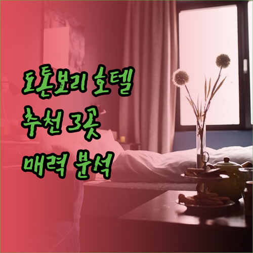도톤보리 여행 호텔 고민? 3곳의 매력을 파헤쳐 보세요