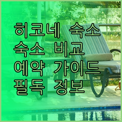 히코네 숙소 예약 전 필독 가이드 3곳의 매력 비교 분석