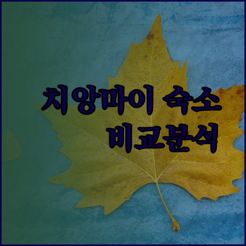 치앙마이 숙소 고민은 이제 그만! 빌라 클랑 위앙 R2호텔 벨라나라호텔 비교분석