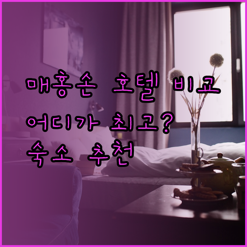 B2 매홍손 프리미어 호텔 vs 더 임페리얼 매홍손 리조트 vs Ruktai Homestay 어디가 좋을까?