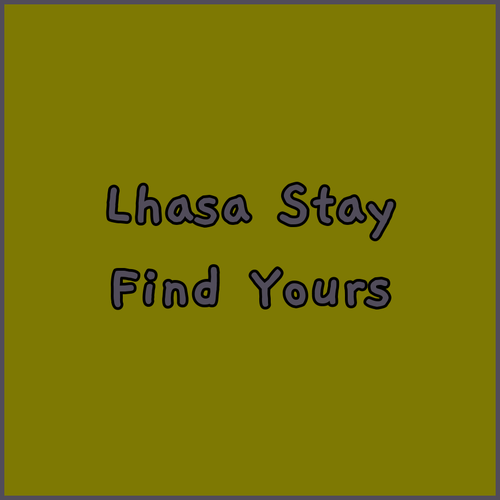Find Your Perfect Lhasa Stay.. Thangka Hotel, Pentsok Kangsang Hotel, or Kangsang Youth Hostel?
