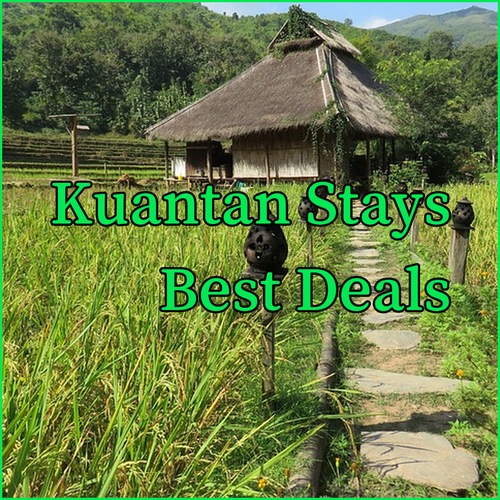 Best Kuantan Stays.. Reviews, Prices & Amenities Compared!