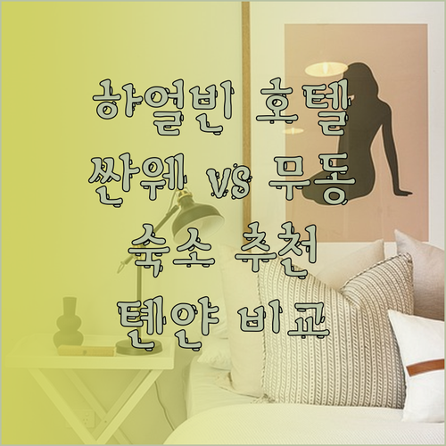 싼웨 부티크 호텔 vs 무동 유스 호스텔 vs 톈얀 홀리데이 호텔 하얼빈 어디가 좋을까?