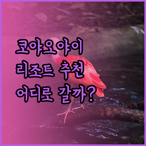 코 야오 야이 섬의 매력적인 리조트 3곳 추천.. 어디로 갈까?