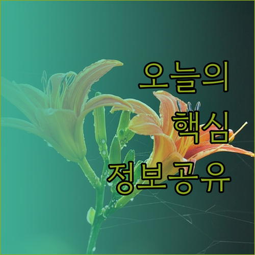 하야트 시그니처 클로버 센타라 핫야이 호텔 어디가 좋을까..