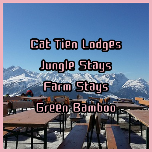 Discover the Best Cat Tien National Park Lodges! Your Ultimate Guide to Green Bamboo, Cat Tien Jungle, and Cat Tien Farm Stays