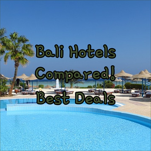 Bali Hotels Compared! A Look at Interconnection Hostel, The Kleep Jungle Resort, and Zee House