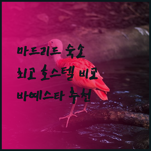 마드리드 숙소 고민? 호스탈 바예스타 TOC 호스텔 더 센트럴 하우스 비교분석!