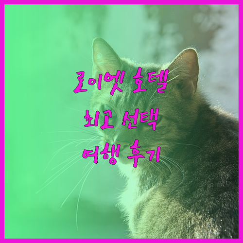 태국 로이엣 여행 호텔 고민 끝 최고의 선택은 어디일까요