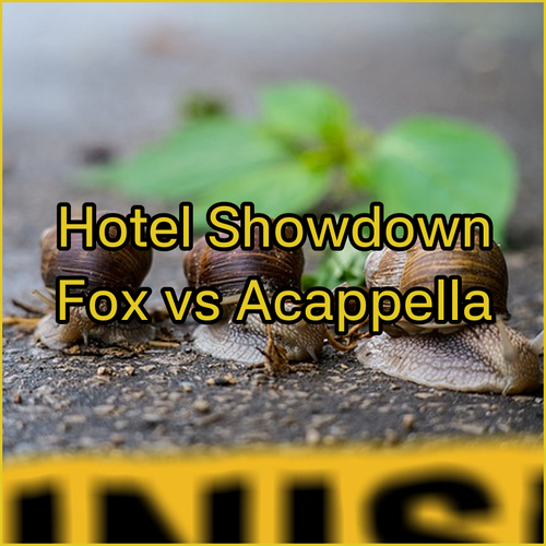 Shah Alam Hotel Showdown FOX vs Acappella Which Reigns Supreme?